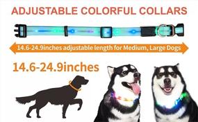 img 1 attached to 🐶✨ Illuminate Your Dog's Night Adventures with the Waterproof LED Dog Collar Light!