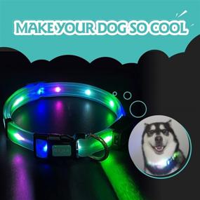 img 3 attached to 🐶✨ Illuminate Your Dog's Night Adventures with the Waterproof LED Dog Collar Light!