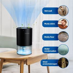 img 1 attached to 🌬️ REEMKIZZ Mini Dehumidifier 2300 Cubic Feet with Colorful Night Lights - Ultra-quiet, Portable, and Small Dehumidifier for Closet, Bedroom, Cabinet, Bathroom, RV