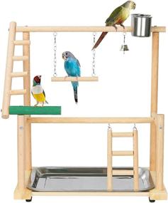 img 4 attached to 🦜 Ozzptuu Bird Playground: Natural Wood Parrot Playstand with Seed Cups, Ladder, Swing - Small/Medium Pet Bird Feeder Perch Stand