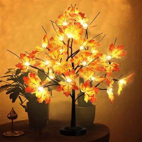 img 4 attached to 24-LED Lighted Maple Tree Lamp - Tabletop Artificial Maple Tree Light with Timer, 8 Modes, USB/Battery Operated - Ideal for Thanksgiving, Home and Party Decor