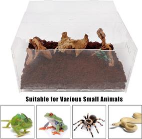 img 2 attached to 🐍 Premium winemana 16x11x6 Reptile Terrarium Breeding Tank: Large Acrylic Habitat Box for Tarantulas and Small Animals - Perfect for Home or Office
