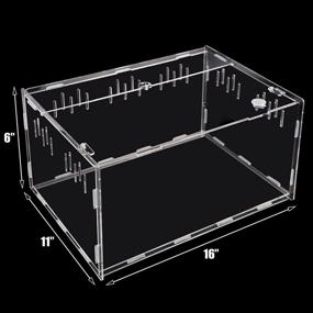 img 3 attached to 🐍 Premium winemana 16x11x6 Reptile Terrarium Breeding Tank: Large Acrylic Habitat Box for Tarantulas and Small Animals - Perfect for Home or Office