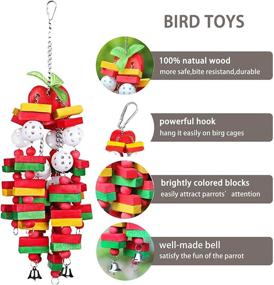 img 2 attached to Натуральные деревянные игрушки для грызунов от компании MQ Bird Toys - Идеальные игрушки для африканских ары, попугаев, амазонок, волнистых попугаев, канареек, корелл и волнистых попугаев.