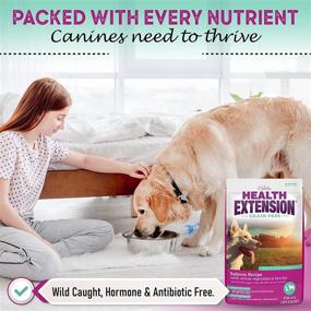 img 1 attached to 🐶 Optimized for Search: Health Extension Grain Free Dry Dog Food - Salmon Recipe