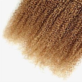 img 1 attached to Honey Blonde Remy Human Hair 1 Bundle Ombre Curly Hair: 2 Tone Color 1b/27 - 18 Inch