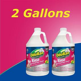 img 3 attached to OdoBan No Rinse Neutral pH Floor Cleaner Concentrate - 2 Gallon