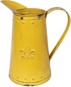 img 4 attached to Yoillione Farmhouse Pitcher Outdoor Decorative