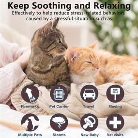 img 2 attached to 🐱 Вустентре 3-пакетный успокаивающий ошейник для кошек: снижение тревоги с помощью натурального кошачьего феромона, регулируемый ошейник для создания успокаивающего эффекта