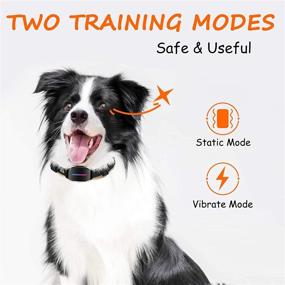 img 3 attached to 🐶 Comfortable DOG CARE Automatic Bark Collar with Beep, Vibration, Shock Modes - Highly Effective and Humane Dog Shock Collar, 5 Adjustable Sensitivity Levels, No Remote