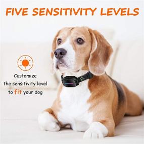 img 2 attached to 🐶 Comfortable DOG CARE Automatic Bark Collar with Beep, Vibration, Shock Modes - Highly Effective and Humane Dog Shock Collar, 5 Adjustable Sensitivity Levels, No Remote