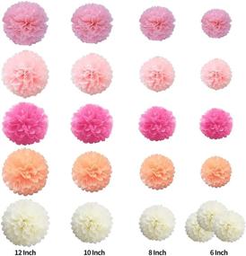 img 1 attached to 🎀 Pink Tissue Paper Pompoms: 22 pcs Flower Balls for Party Decoration - Ideal for Birthday, Wedding, Baby Shower, and Bridal Shower!