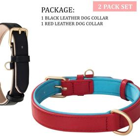 img 3 attached to 🐶 2 Pack Genuine Leather Dog Collar Soft Waterproof Padded, Heavy Duty, Adjustable, for Small Medium Large Dogs - Black Brown Red Orange Grey by Poohoo