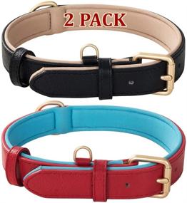 img 4 attached to 🐶 2 Pack Genuine Leather Dog Collar Soft Waterproof Padded, Heavy Duty, Adjustable, for Small Medium Large Dogs - Black Brown Red Orange Grey by Poohoo