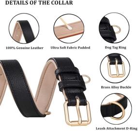 img 2 attached to 🐶 2 Pack Genuine Leather Dog Collar Soft Waterproof Padded, Heavy Duty, Adjustable, for Small Medium Large Dogs - Black Brown Red Orange Grey by Poohoo