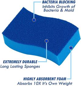 img 2 attached to 🧽 ELITRA Heavy Duty Scrubber Sponge: Enhanced Cleaning Power with Odorless Smell Resistance, Hydrophilic Foam Technology - 6 Pack, Blue