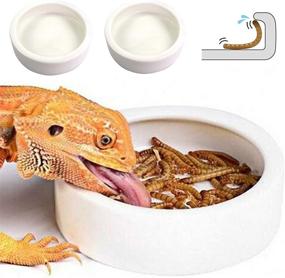 img 4 attached to 🦎 Small Ceramic Reptile Food Dish Bowl for Lizards and Geckos - Perfect for Mealworms, Dubia Cricket, and Superworm Feeding