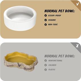 img 2 attached to 🦎 Small Ceramic Reptile Food Dish Bowl for Lizards and Geckos - Perfect for Mealworms, Dubia Cricket, and Superworm Feeding