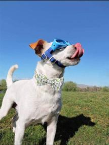 img 1 attached to 🐶 ARING PET Bowtie Dog Collar: Stylish and Adjustable Collars for Small, Medium, and Large Dogs