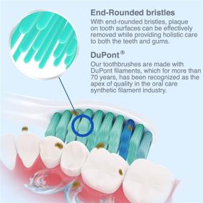 img 2 attached to 6-Pack Brushmo Replacement Toothbrush Heads Compatible with Sonicare e-Series HX7022 - Efficient Oral Care Solution