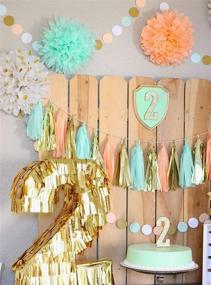 img 3 attached to 🎉 Mint Peach Party Decorations: Qian's Party Glitter Gold Tissue Paper Pom Pom Polka Dot Paper Garland for Baby Showers, Birthdays, Weddings, Nurseries, and Bridal Showers
