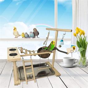 img 3 attached to 🦜 Natural Wood Parrot Playground Stand Gym with Perch, Swing, Ladders, and Feeder Cups - Ideal Bird Accessories for Parakeets, Lovebirds, Conures, Cockatiels - Promotes Exercise, Nesting, and Activity in Cage