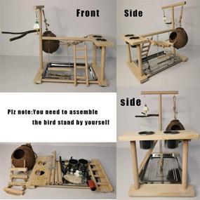 img 1 attached to 🦜 Natural Wood Parrot Playground Stand Gym with Perch, Swing, Ladders, and Feeder Cups - Ideal Bird Accessories for Parakeets, Lovebirds, Conures, Cockatiels - Promotes Exercise, Nesting, and Activity in Cage