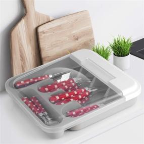 img 1 attached to 🍴 Zilpoo Flatware Plastic Tray: Hinged Lid, Kitchen Cutlery & Utensil Organizer, Silverware Countertop Container with Attached Cover