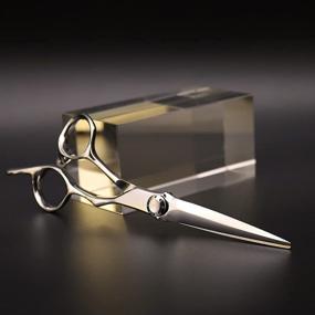 img 3 attached to AOLANDUO Professional Scissors High Beauticians Hairdresser