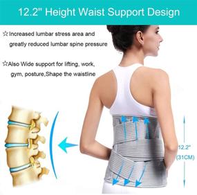 img 1 attached to 👍 TANDCF XL Back Support Brace - Adjustable Lumbar Support Belt for Women & Men - Waist Trainer Belt for Entire Back Pain Relief - Maintains Spine Alignment & Safety