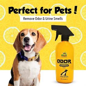 img 2 attached to Lemon Pet Odor Eliminator for Home - Citrus & Enzyme Powered Urine 🍋 Remover, Carpet Cleaner for Pets - Dogs, Cats & Small Animals - Shop Now!