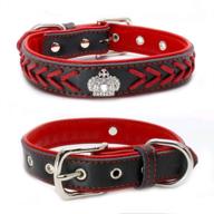 dogs kingdom genuine leather rope braided dog collar with crown decoration - adjustable length for small to medium dogs logo