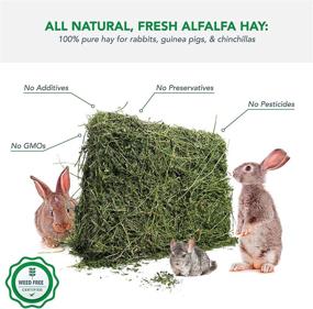 img 1 attached to 🐰 Organic Viking Farm Alfalfa Hay: Ideal for Rabbits & Small Pets