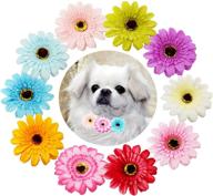 🐶 jpgdn 10pcs dog collar flowers: adorable accessories for small and medium puppy dogs - decorative sliding charms and embellishments logo