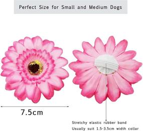 img 2 attached to 🐶 JpGdn 10pcs Dog Collar Flowers: Adorable Accessories for Small and Medium Puppy Dogs - Decorative Sliding Charms and Embellishments