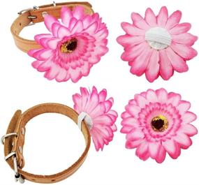 img 3 attached to 🐶 JpGdn 10pcs Dog Collar Flowers: Adorable Accessories for Small and Medium Puppy Dogs - Decorative Sliding Charms and Embellishments