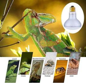 img 3 attached to 🦎 Reptile Heat Lamp Bulb Light - UVA Basking Spot Daylight Heat Lamp 2 Pack for Reptiles, Amphibians, Lizards, Tortoises, Bearded Dragons & Hedgehogs