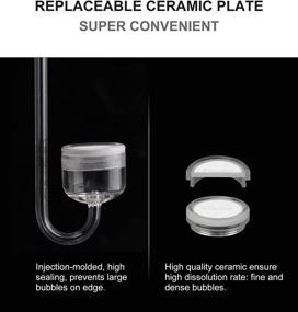 img 2 attached to Enhance Growth of Aquarium Plants with Clscea PMMA CO2 Diffuser & Bubble Counter