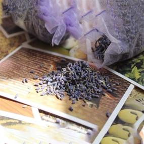 img 1 attached to Dried Lavender Flower Buds Sachets - 18 Packs: 100% Natural Home Fragrance & Freshener for Drawers, Closets & More