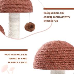 img 2 attached to 🍄 PETEPELA Mushroom Cat Scratching Post: Ideal Claw Scratcher for Kittens and Small Cats, Featuring Natural Sisal Rope to Fulfill Cats’ Instinctive Clawing Desires