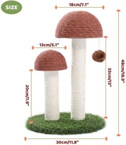 img 3 attached to 🍄 PETEPELA Mushroom Cat Scratching Post: Ideal Claw Scratcher for Kittens and Small Cats, Featuring Natural Sisal Rope to Fulfill Cats’ Instinctive Clawing Desires