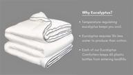 🌬️ cooling eucalyptus comforter by pine & river - cloud-like, silky soft, skin-friendly, alternative down, one-piece air-fluff – non-bunching ([white] queen/full, bamboo rayon derived) logo