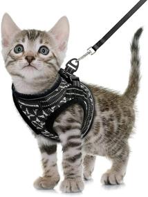 img 4 attached to 🐱 CatRomance Escape Proof Cat Harness and Leash Set - Adjustable Vest Harness for Walking Kittens, with Reflective Strips for Easy Control