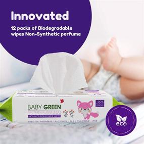 img 2 attached to 🌿 Value Pack of 864 Baby Green Biodegradable Baby Wipes, Compostable & Plastic-Free, Infused with Natural Essential Oils, 99% Pure Water, Ideal for Sensitive Skin and Moist Newborn Diaper Care