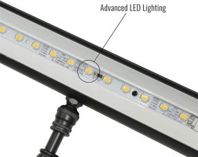 img 1 attached to 🖼️ Cocoweb 10-inch Classic LED Picture Light: Antique Brass Finish with Plug-in Adapter