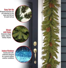 img 1 attached to National Tree Company 9 Feet Evergreen Artificial Christmas Garland with Pine Cones - Festive Green Decor for Your Christmas Collection