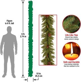 img 2 attached to National Tree Company 9 Feet Evergreen Artificial Christmas Garland with Pine Cones - Festive Green Decor for Your Christmas Collection