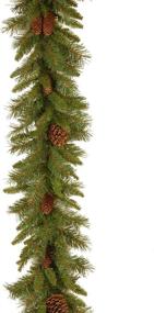 img 4 attached to National Tree Company 9 Feet Evergreen Artificial Christmas Garland with Pine Cones - Festive Green Decor for Your Christmas Collection