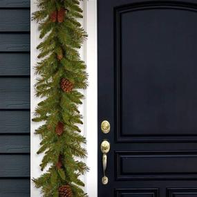 img 3 attached to National Tree Company 9 Feet Evergreen Artificial Christmas Garland with Pine Cones - Festive Green Decor for Your Christmas Collection