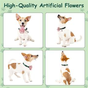 img 1 attached to 🐶 Adorable Pet Collars with Bell and Pearl - Perfect Accessories for Christmas, New Year, Birthday Party, Wedding - XS - Available in Pink, Purple, Green & Blue